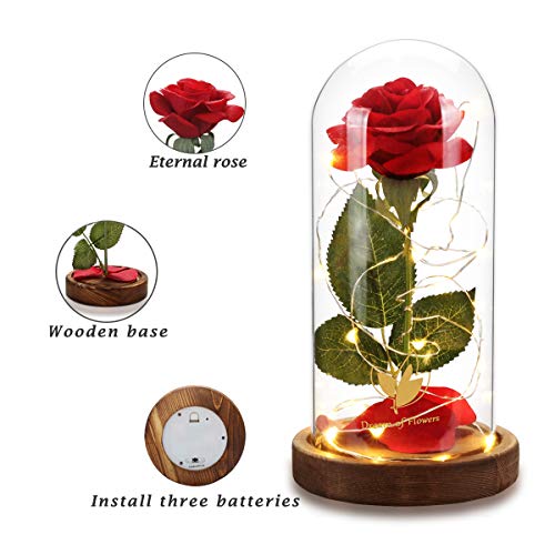 Beauty and the Beast Rose, Mothers Day Forever Preserved Flower Rose Gifts for Mom, Birthday Gift for Women, Light Up Rose in Glass Dome, Eternal Rose Flower Gifts Girlfriends for Wife - color: Brown Base
