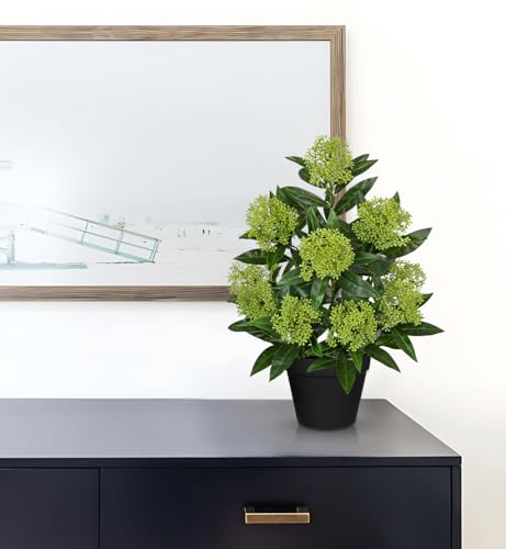 Briful Artificial Skimmia Japonica Plant in Pot, 20.8" Tall Faux Green Berry Flowers with Black Pot, Realistic Potted Floral Arrangement for Home Office Table Shelf Decor - color: Green Black