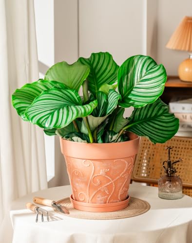 Melphoe Plant Pots Indoor with Drainage & Saucer, 2Pack 10 inch Flower Pots Outdoor Planters for Indoor Plants Garden Home Decor Cactus Succulent, Rigid Plastic (Imitation-Terracotta) Vine-Embossed - color: Terracotta Color, size: 10''