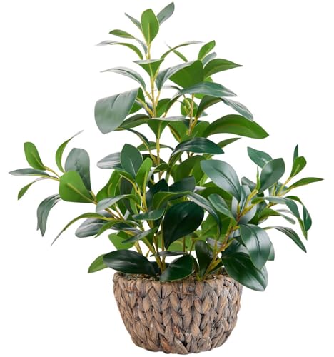 AlphaAcc 18.8 Inch Artificial Ficus Plant Indoor Faux Greenery Potted in Rattan Woven Basket Planter with Decorative Pebbles Realistic Fake Plant for Home Living Room Office Table Desk Shelf Decor - color: Green Ficus Plant 18.8" H