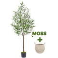Warmplants Artificial Olive Tree, 5ft Tall Fake Olive Leaves Plant with Basket, Indoor Outdoor Faux Olive Topiary Silk Tree for Home Livingroom Office House Décor - size: 5ft