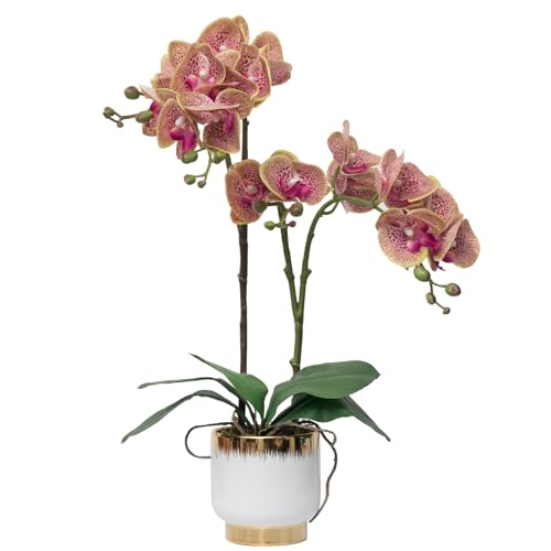 CXGS Orchids Artificial Flowers Real Touch Fake Flowers in Ceramic Pot 20" Purple Dapple Faux Orchid Plant Lifelike Silk Phalaenopsis for Centerpiece Hotel Home Indoor Decor - color: Purple Dapple- White Gold Vase