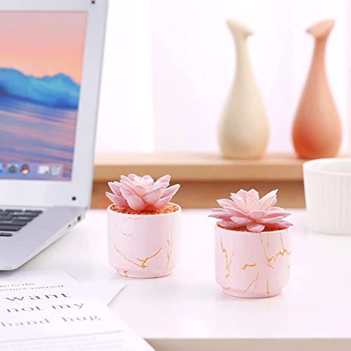 ZENIDA Succulent Artificial Plants,Cute Fake Succulents in 2 Pink Ceramic Pots,Small Fake Plants for Office,Table,Desk,Bathroom, Bedroom,Aesthetic Room Shelves Decor,Desk Decorations for Women Office - color: Pink