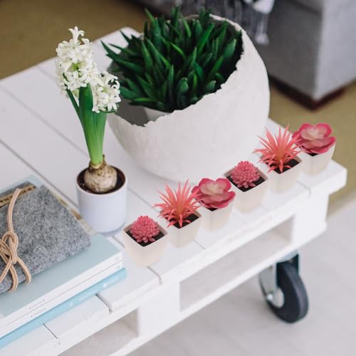 Woration 6Pcs Mini Artificial Succulent Plants Fake Plastic Succulents Potted for Garden Office Home Desk Decorations Floral Arrangement Craft- White Pots - color: Décor 3