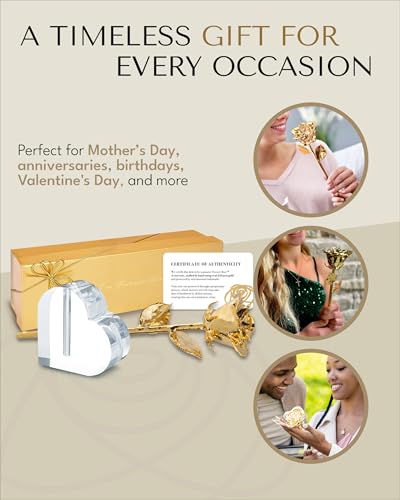 Forever Rose 24K Gold Dipped Real Rose, Handmade, Long-Lasting Preserved Flower in Acrylic Heart (One Rose) & Gold Box, Romantic Gift for Anniversary, Valentine's Day, Birthday, Wife, Girlfriend - color: Acrylic Heart Vase (1 Rose)