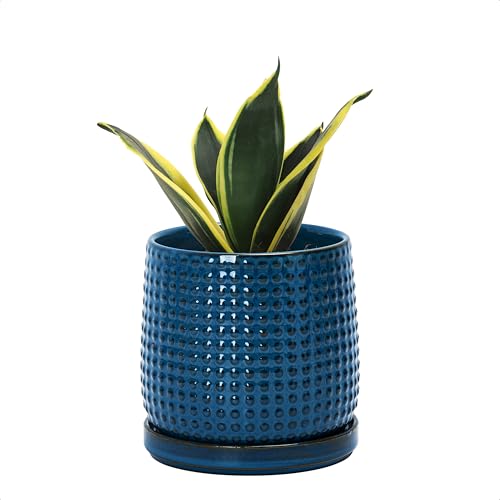 D'vine Dev 4 Inch Ceramic Beaded Stoneware Planter Pot - Flower Pot with Drainage Holes and Saucers for Indoor Succulent Plants or Flowers, Midnight Blue, 27-C-Z-3 - color: Midnight Blue, size: 4.3 Inch