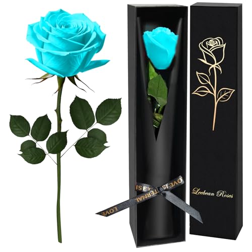 Light Blue Single Forever Roses Luxury Gift for Women/Men, Fresh Flowers Bouquet for Girlfriend, Wife, Mom, Anniversary, Valentine's Day, Wedding, Graduation, Christmas, Birthday - color: Light Blue