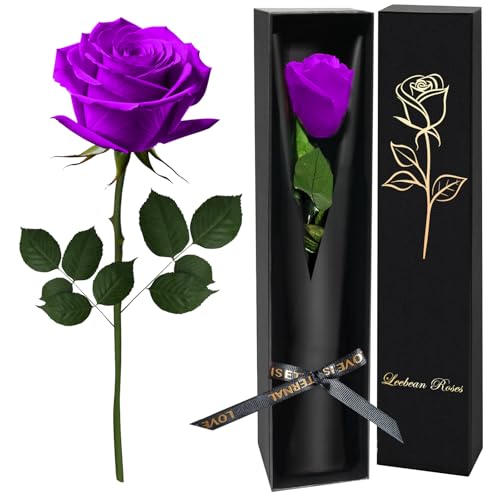 Purple Single Forever Roses Luxury Gift for Women/Men, Fresh Flowers Bouquet for Girlfriend, Wife, Mom, Anniversary, Valentine's Day, Wedding, Graduation, Christmas, Birthday, Unique Presents for Her - color: Purple
