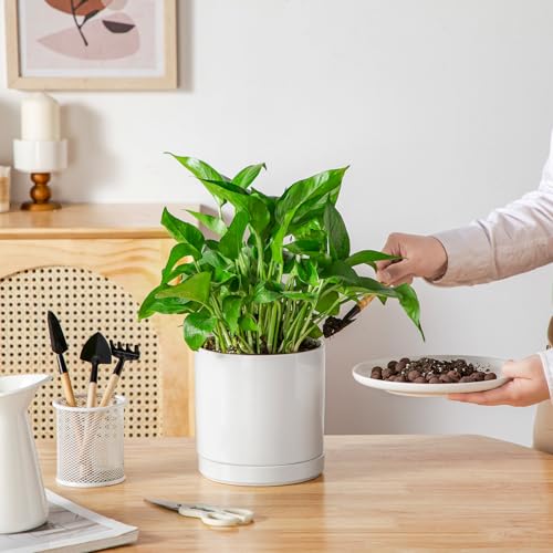 vancasso Ceramic Plant Pots, 6.25 Inch Ceramic Pot for Plants, Planters Pots for Indoor Plants with Drainage Holes, Flower Pot for Indoor House Plant, White - color: White, size: 6.25 Inch
