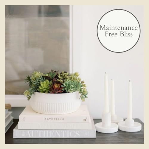 Round Faux Succulent Arrangement, 12" Premium Artificial Indoor Plant Enhances Interior Design, Display on any Surface in Your Home Adding an Inviting Touch of Nature, White Planter Pot Included - size: 12" Round White Planter