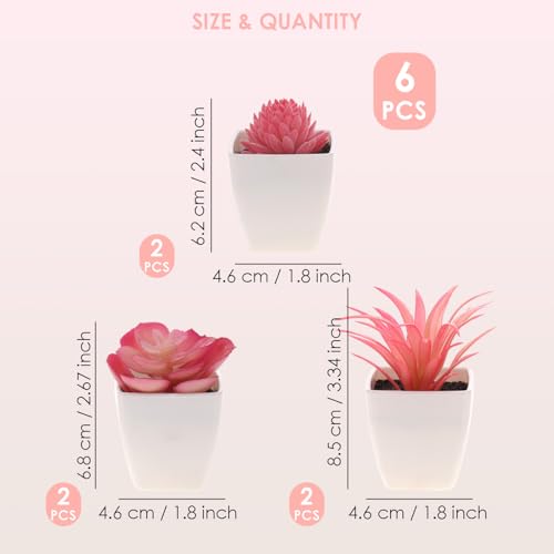 Woration 6Pcs Mini Artificial Succulent Plants Fake Plastic Succulents Potted for Garden Office Home Desk Decorations Floral Arrangement Craft- White Pots - color: Décor 3