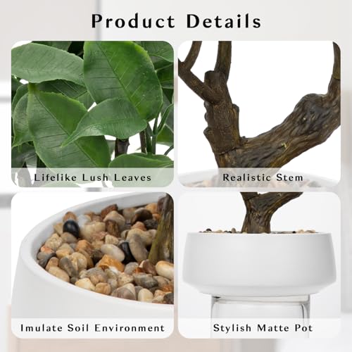 Artificial Bonsai Tree, Small Ficus Bonsai Tree 13" Indoor Bonsai Tree | Fake Potted Plant Decorative Fake Desk Plant Decor with Ceramic Pot for Home Office Living Room Bathroom Table Shelf - color: Green Ficus&white Pot