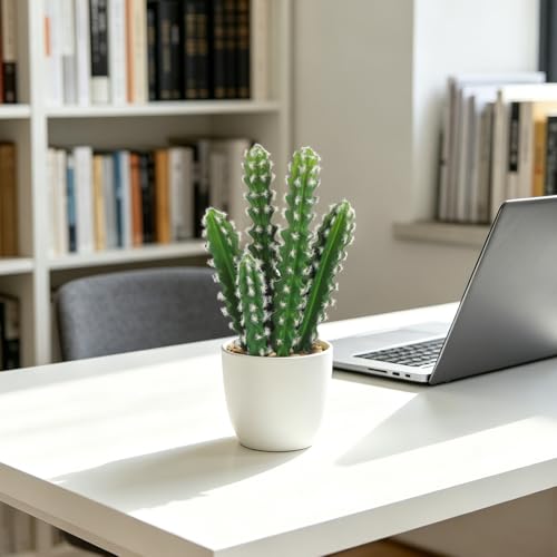 Artificial Cactus Plants 10.8 inch Small Faux Cactus Plants Indoor Fake Desert Cacti Succulents Plants Artificial Plant Indoor with Pot Cactus Decorations for Home Decor Office Desk Tabletop Shelf - size: SUP_209