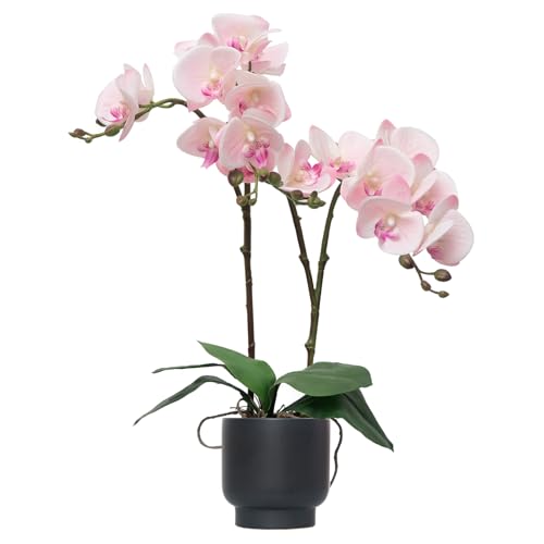 CXGS Orchids Artificial Flowers Real Touch Fake Flowers in Ceramic Pot 20" Pink Faux Orchid Plant Lifelike Silk Phalaenopsis for Centerpiece Hotel Home Indoor Decor - color: Pink- Black Vase