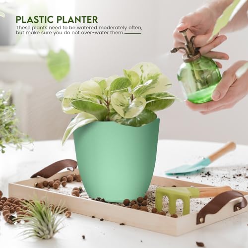 Utopia Home - Plant Pots Indoor with Drainage - 7/6.6/6/5.3/4.8 Inches Home Decor Flower Pots - Plastic Planters for Indoor Plants, Cactus, Succulents Pot (Mint, Pack of 10) - color: Mint, size: Pack of 10