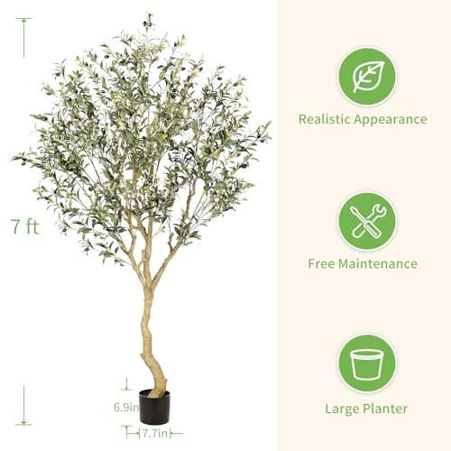 Realead 7FT Olive Trees Artificial Indoor - Tall Faux Olive Tree 7 Feet with Realistic Leaves and Natural Trunk - Potted Fake Olive Tree for Modern Home Office Living Room Floor Decor Indoor - size: 7ft