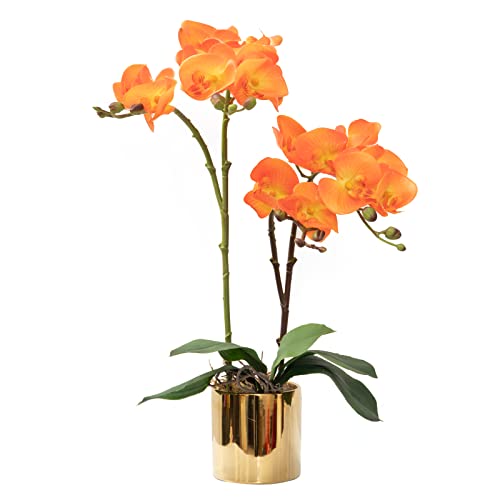 CXGS Artificial Orchid Flower Plant Real Touch Faux Orchids in Ceramic Vase Orange 19.7'' Fake Phalaenopsis Flower Arrangement Centerpiece Home Indoor Decor - color: Orange- Golden