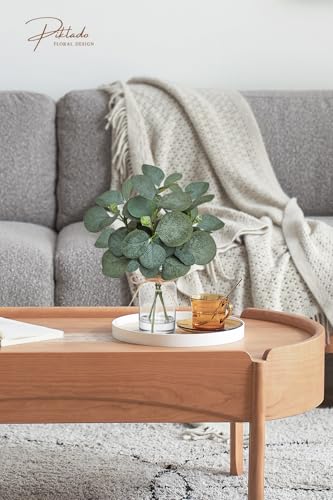 12" Fake Eucalyptus Stems in Vase with Faux Water,Artificial Plants Leaves for Shelf Desk Bathroom Farmhouse Room Coffee Table Home Decor (Eucalyptus-Fruit) - color: Eucalyptus-fruit