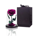 Preserved Roses Purple Roses in Glass Dome, Medium, Preserved Flowers for Women - color: Purple, size: Medium