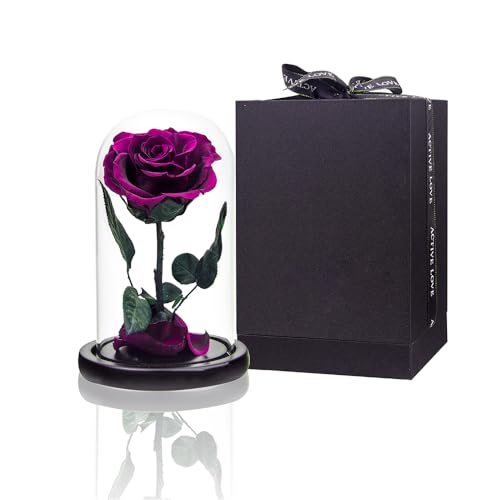 Preserved Roses Purple Roses in Glass Dome, Medium, Preserved Flowers for Women - color: Purple, size: Medium