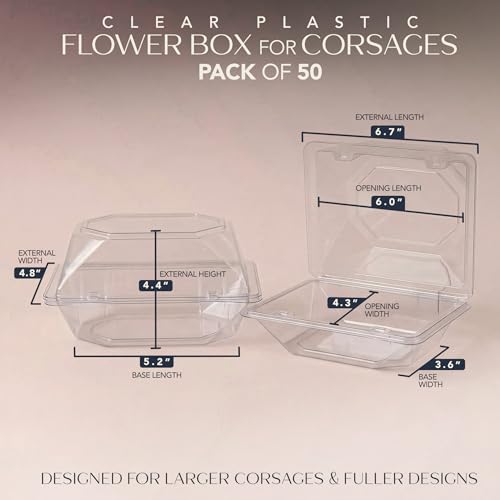 Royal Imports 50 Pack Clear Plastic Flower Box for Corsage, Boutonniere, Rose, Orchid Prom Wedding Craft Container 6x5x4