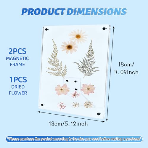 Clear Acrylic Magnetic Pressed Flower Frame, Double Panel Floating Frame for Dried Flower Display, Easy-Open Magnetic Acrylic for DIY Art, Home & Office Wall Décor Gift(Transparent 2Pcs, 5X7in) - size: 5X7in