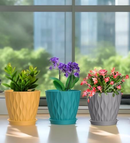 6 Inch Plant Pots, 6 Pack Indoor Flower Pots, Planters with Drainage Holes and Trays for Orchids, Violets, Succulents, Herbs, and Other Plants,Corolful - color: Colorful, size: 6inch