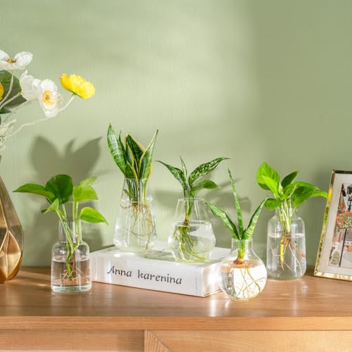 Mkono Propagation Vases for Plants, Set of 5 Small Glass Jar Planters for Hydroponic Cutting Flowers, Plant Station Bud Vases for Centerpieces Home Office Decor Gift - color: Clear