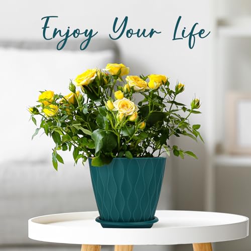 YNNICO 6 inch Plant Pots, 5 Pack Flower Pots Outdoor Indoor, Planters with Drainage Hole and Tray Saucer(Blue - color: Blue, size: 6 inch