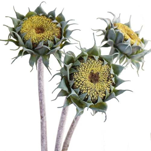 Htmeing 3PCS Artificial Sunflower Stems Faux Decor Flowers for Home Wedding Farmhouse Rustic Floral Arrangements Fake Flowers for Indoor Outdoor Display (Green) - color: Green