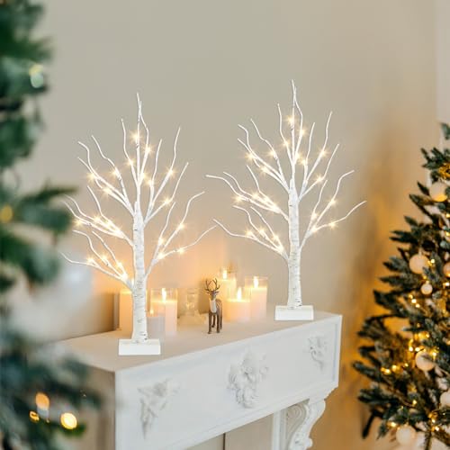 PEIDUO Home Decor, 2FT Birch Tree with LED Lights, Warm White Light up Tree Lamp, Artificial Trees for Home Table Inside, Battery Powered, Timer (2PK) - style: 2PK Birch Tree