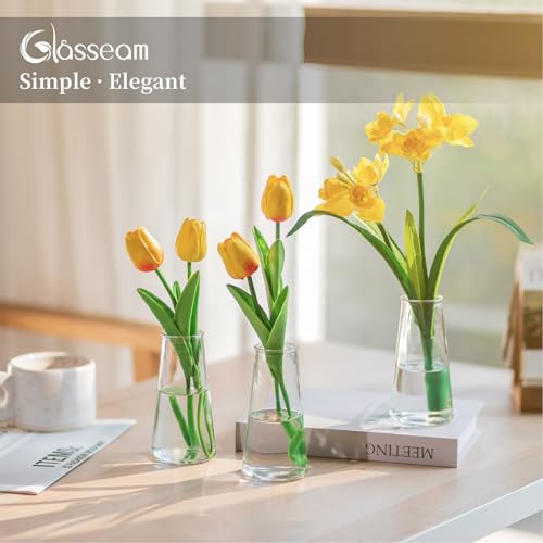Glasseam Clear Flower Vases for Centerpieces: Modern Glass Vase Set of 24 for Wedding Party Centerpiece Home Table Decor 5.5In Small Bud Vases for Flowers Rose Tulip Stems - size: Clear-24pcs