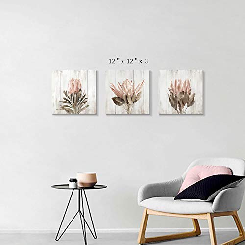 Hardy Gallery Floral Canvas Wall Art Print: Flower Bloom Picture Graphic Artwork Painting for Washrooms (12"x12"x3pcs) - color: Pink flower, size: 12'' x 12'' x 3 Panels