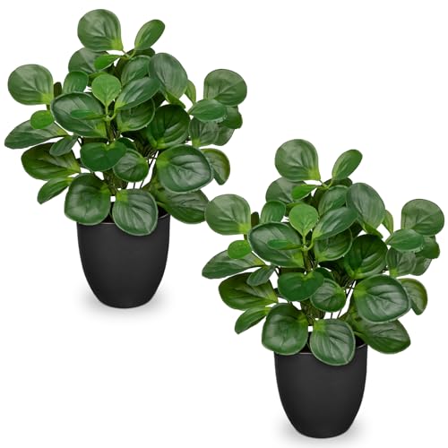 14.5" Artificial Plants Indoor Home Decor, Fake Potted Silk Plants for Shelves Living Room Decor, Small Artificial Office Desk Plants in Pots, Faux Peperomia Hope Tropical House Plant, Sets of 2 - color: 2 Sets # Total Green