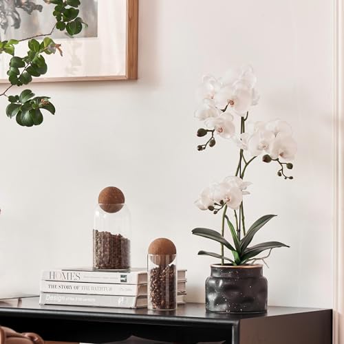 Avoeco Artificial Real Touch Orchid Plant – 20″ Faux Phalaenopsis in Pot – Highly Realistic Silk Orchid Flower & Leaf Texture for Home, Office,Shop & Wedding Décor (1 White, 20”) - color: 1 White, size: 20”