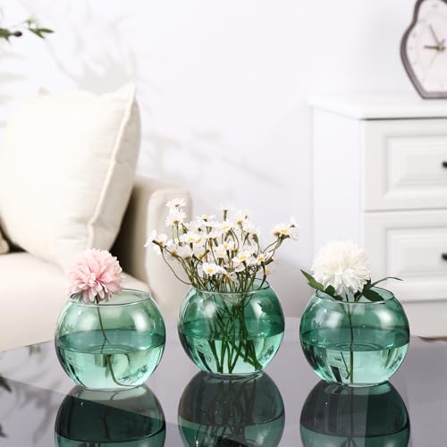 Green Round Vases Set of 6, Flower Vases for Centerpieces, Glass Vase for Flowers, Glass Bowl Vase for Living Room, Bedroom, Kitchen, Office, Wedding, 5'' W x 4'' H - color: Green, size: 5”
