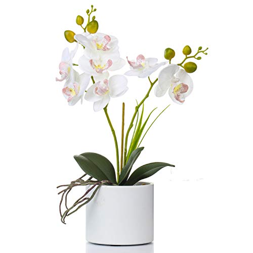 Jusdreen Artificial White Orchid in Ceramic Pot, Realistic Phalaenopsis Arrangement with Potting for Home Office Table Decor, 14.5 Inch Flower Centerpiece - color: Z/Ceramic-white