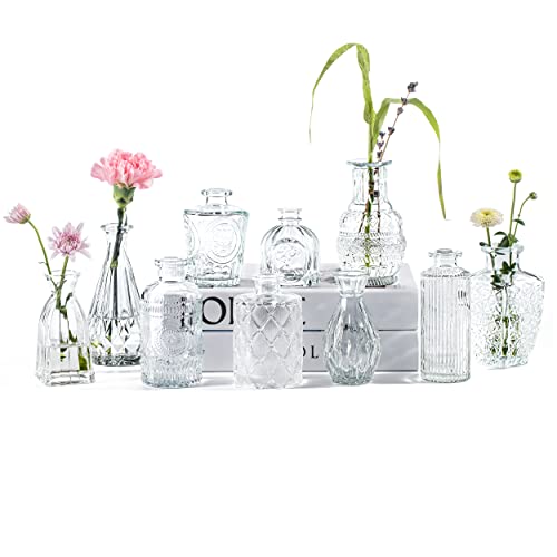 Vintage Small Vases for Flowers Set of 10, Mini Bud Vases for Flowers,Clear Small Vases in Bulk for Centerpieces Decorations,Wedding Party Home Coffee Table Flower Decor (Clear) - color: Clear