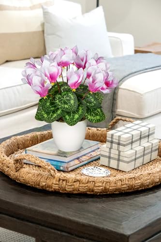 Hollyone Artificial Cyclamen Flowers Plant Potted Fake Silk Flower Plants in White Pot Faux Pink Cyclamen Flowers Arrangement Home Decor Office Bathroom Shelf Desk Decorations - color: Pink, size: Cyclamen Flowers
