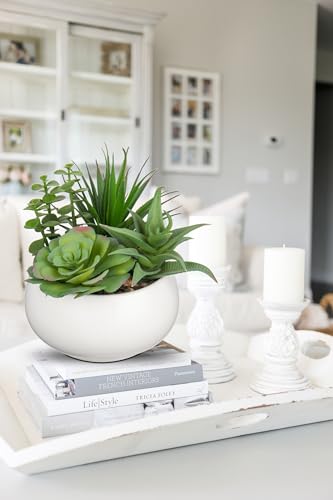 Hollyone Fake Plants Artificial Succulents in Pots Faux Succulent Arrangement Potted Plant with White Ceramic Pot for Home Decor Modern Office Desk Bathroom Shelf Living Room Indoor Decoration - color: Matte White