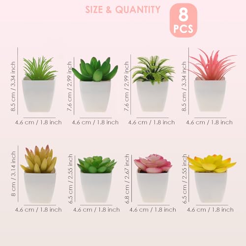 Woration 8Pcs Mini Artificial Succulent Plants Simulation in White Pots Small Fake Succulents Decoration for Bedroom Aesthetic Living Room Office Shelf - color: Décor 2