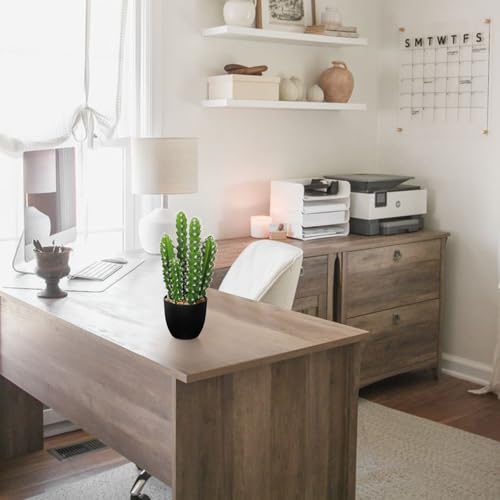 Oairse Artificial Cactus Plants 10.8" Small Faux Cactus Plants Indoor Fake Desert Cacti Succulents Plants Artificial Plant Indoor with Pot Cactus Decorations for Home Decor Office Desk Tabletop Shelf - size: SUP_169