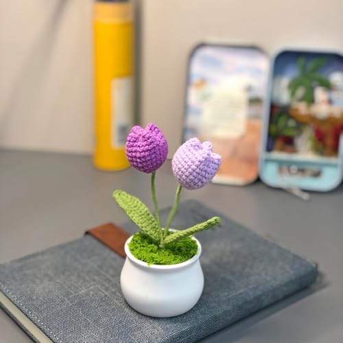 Joekaran Crochet Flowers Cute Little Potted Flower, Gift for Birthday, Teacher’s Day, Graduation, Anniversary, Christmas, Decor for Car Dashboard,Home Office Decoration (Purple Gradient Tulips) - color: Purple Gradient Tulips