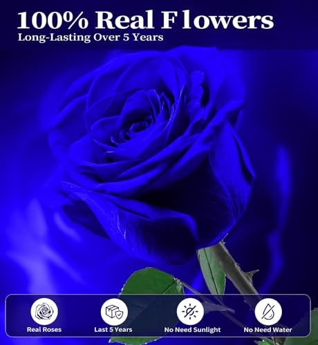 Preserved Flowers for Delivery,Blue Rose Bouquets That Last 5 Years,Birthday Flowers Gifts for Women Mom Grandma Wife Friends,Mothers Day Roses Gift,Romantic Floral for Anniversary or Valentine’s Day - color: Blue, size: Single Rose