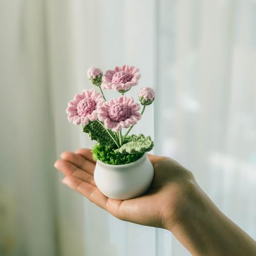 Joekaran Crochet Flowers Cute Little Potted Flower, Birthday Gifts for Women, Mother's Day, Teacher’s Day, Graduation, Anniversary, Desk Decor, Home Office Decoration (Rose red Daisy) - color: Rose Red Daisy