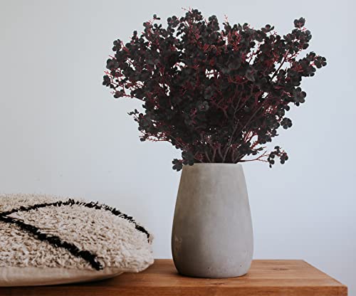 Hananona 10 Pcs Babys Breath Artificial Flowers Black Fake Silk Flowers for Halloween Home Decor Floral Arrangement Table Centerpieces (10, Black) - color: Black