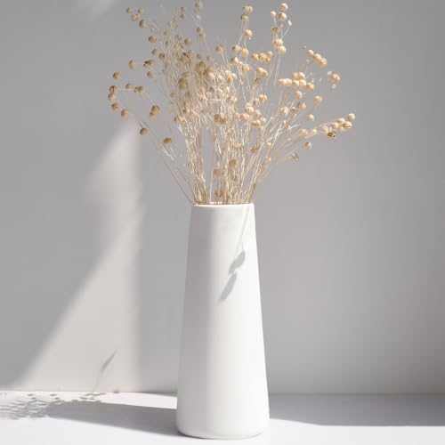 Simple Modern White Ceramic Vase - 10 Inch, Perfect for Pampas Grass, Rustic Table Centerpieces, Home Office Decor - color: White, size: Large: 10 inches