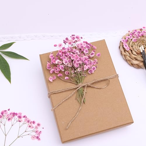 30 Pcs Pink Baby's Breath Real Dried Pressed Flowers.Vacuum-Packed Mini DriedBaby's Breath Flowe Specimen +1 Tweezers, for Resin Art /DIY Making Wedding Card/ Home Party Decor.