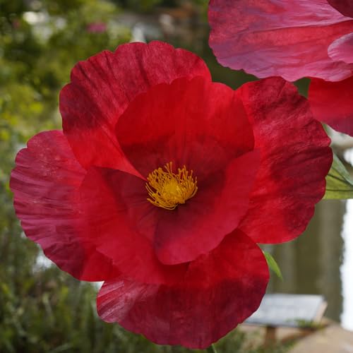 Giant Flowers,Oversized Artificial Flower with Gradient Petals,Large Paper Floral Decor with Stand for Wedding Backdrops, Event Parties, Photo Booth Props, Home Decoration (red) - color: Red