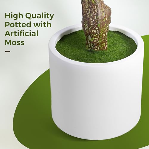 Jocoevol Olive Trees Artificial Indoor, 6FT Tall Faux Olive Tree with White Tall Planter, Artificial Plants with Natural Wood Trunk and Lifelike Fruits for Home Office Decor, 1 Pack - size: 6ft